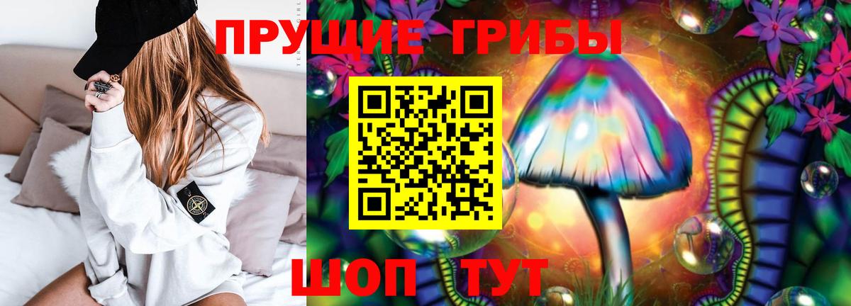 Галлюциногенные грибы Magic Shrooms  Галлюциногенные грибы Psilocybe  Вход с VPN  Ковров 